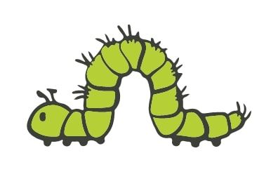 caterpillar-02-svg-min.jpg